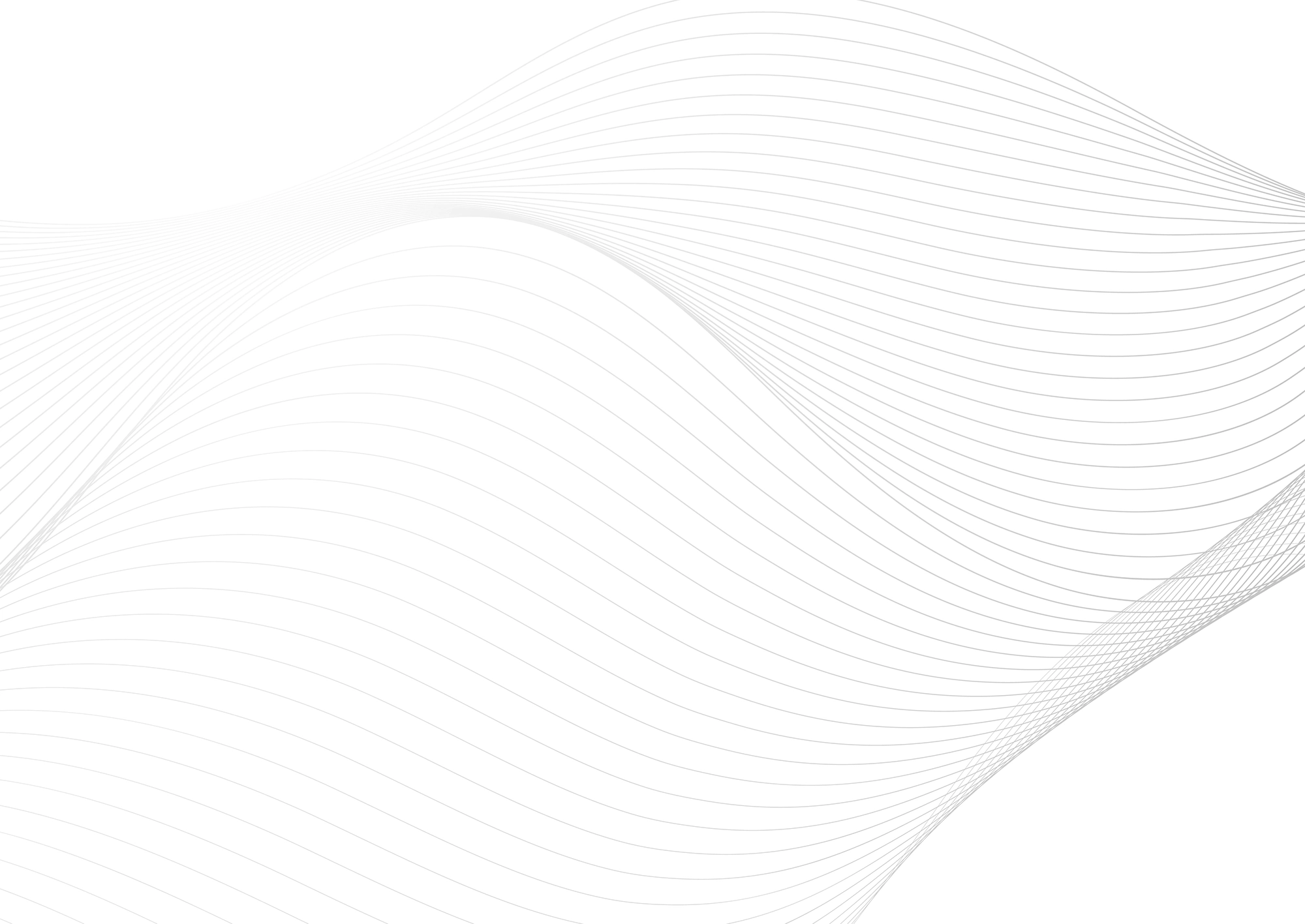 Web Site Tasarımcısı, Viranşehir